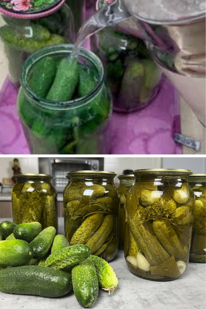 Castraveți murați în saramură rece, fără oțet sau acid citric. Metoda tradițională care păstrează gustul autentic și textura crocantă
