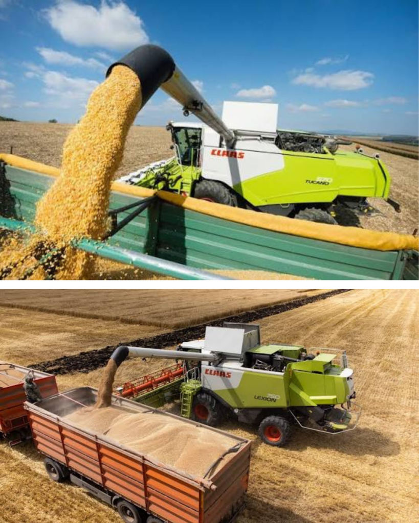 „Mai bine producem bere decât pâine”. An agricol bun, an financiar slab. De ce spun agricultorii că muncesc aproape degeaba