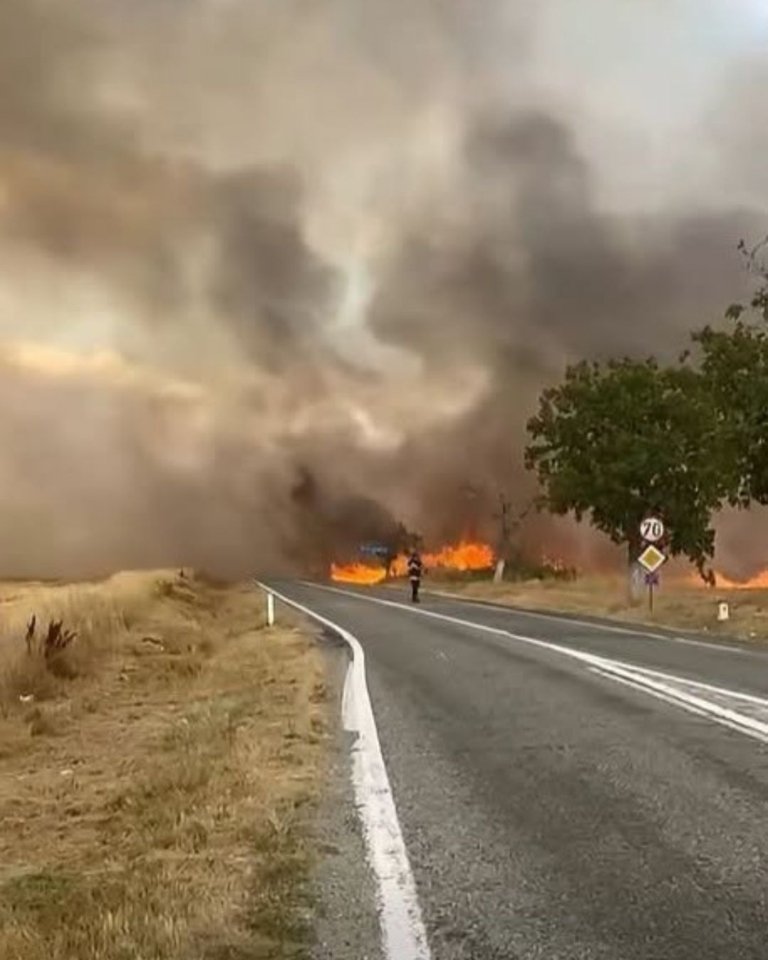 DN67 închis în Gorj. Incendiu de vegetație blochează traficul spre Târgu Jiu