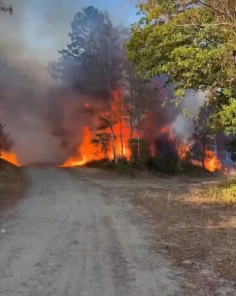 Incendiu în Germania, 1.800 de persoane evacuate. Armata a intervenit