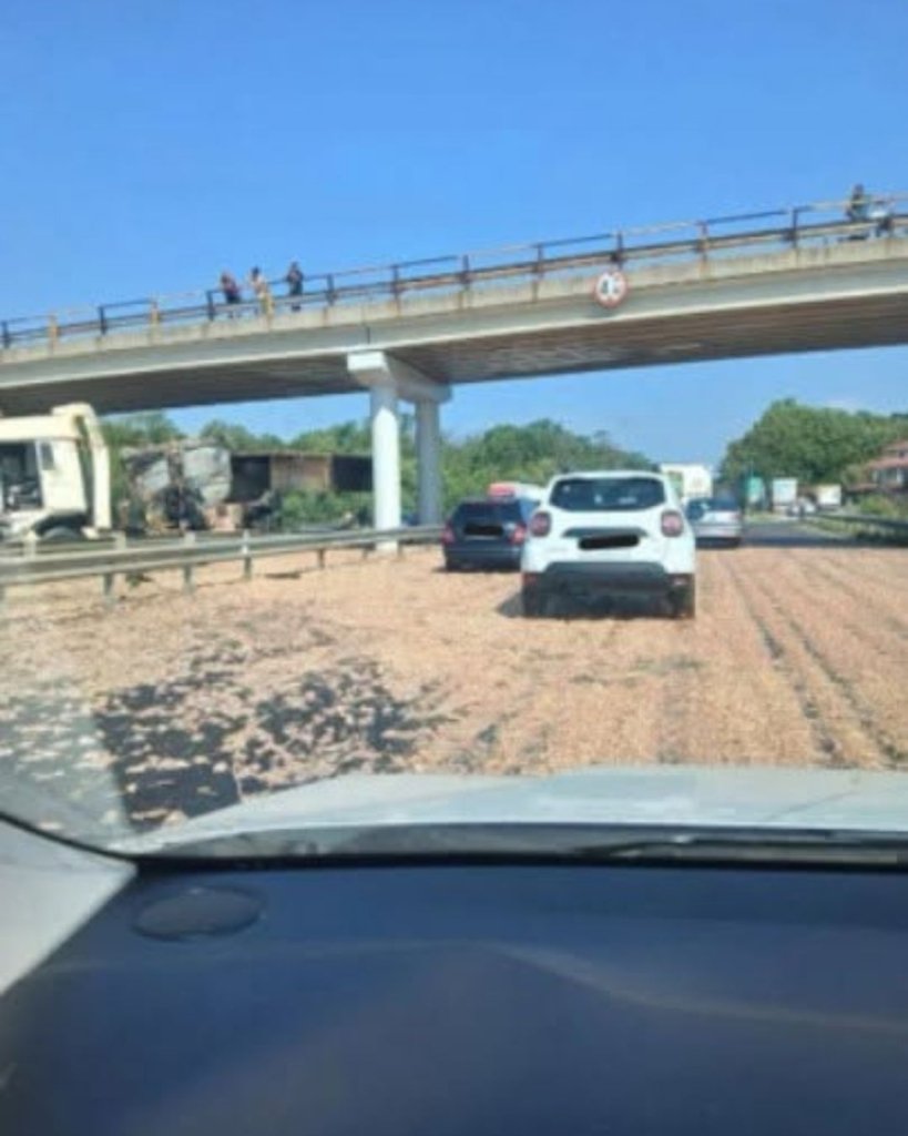 TIR cu pui, intrat într-un picior de pod pe A1. 13 km de coadă