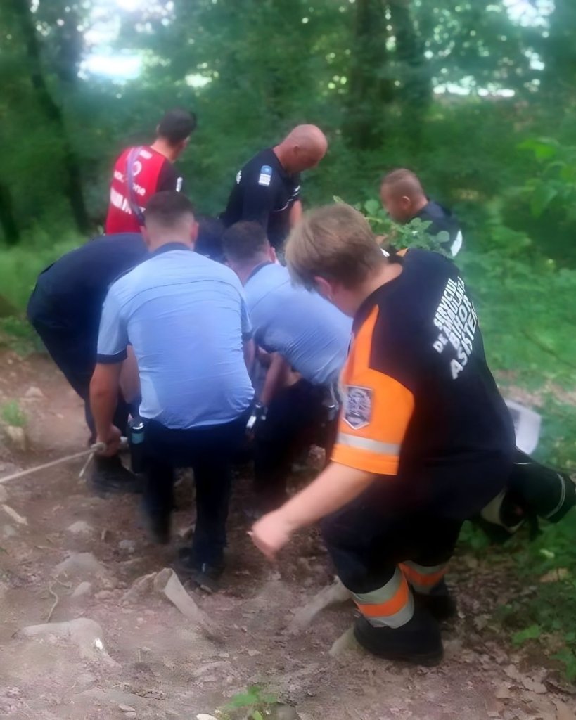 Bărbat de 65 de ani, găsit mort în pădure. Atac de urs, suspicat