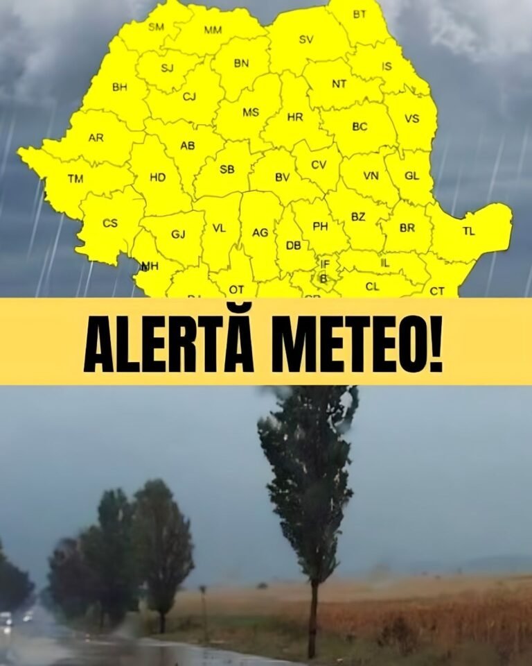 Cod galben de furtuni pe 30-31 august. Ce zone sunt vizate