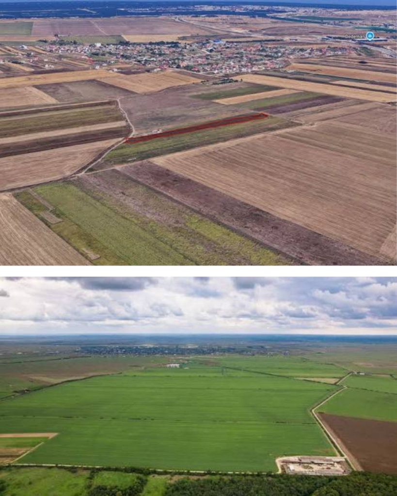 Cât costă un hectar de teren agricol în 2026. Prețurile diferă enorm de la Moldova la Banat și Ilfov