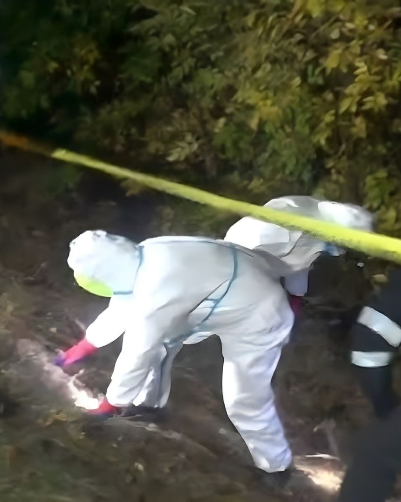 Medic din Polonia, arestată după ce 34 de fetuși au fost găsiți în grădina ei