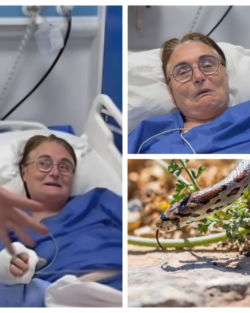 Femeie mușcată de două ori de șarpe după ce a vrut să îl salveze