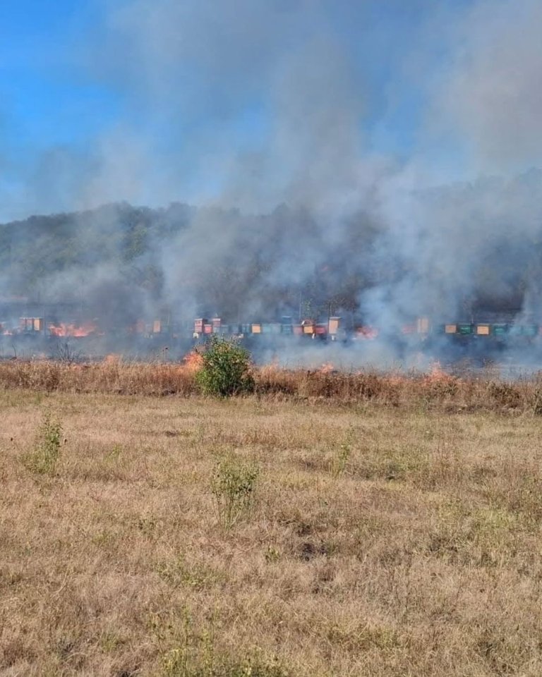 Incendiu de vegetație în Gorj. DN67, închis din cauza fumului