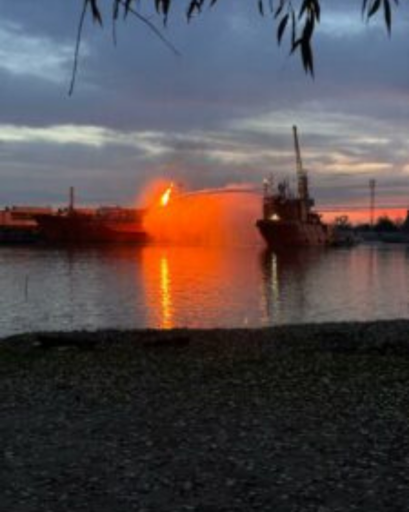 Cargou lovit de dronă în Delta Dunării. Căpitanul a murit, trei membri ai echipajului sunt răniți