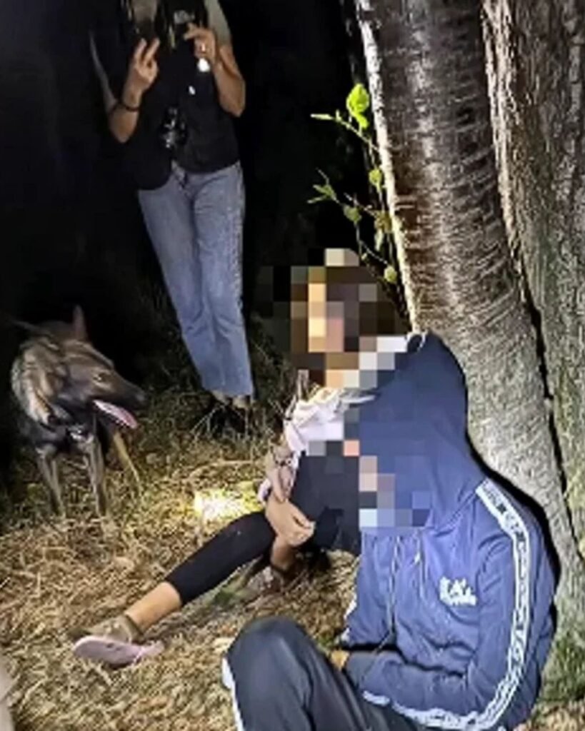Doi copii din Vâlcea, găsiți în siguranță cu ajutorul unui câine de urmă