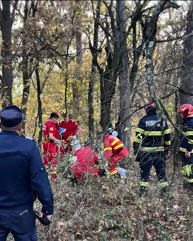 Bărbat de 65 de ani, găsit mort în pădurea din Lupeni. Urme de atac de urs