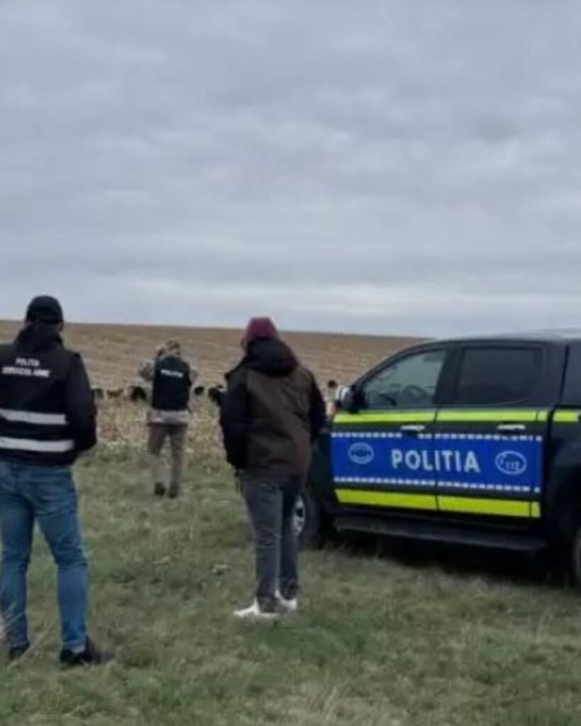 Aurel Chirilă, găsit mort la ferma din Botoșani. Ancheta pentru clarificare