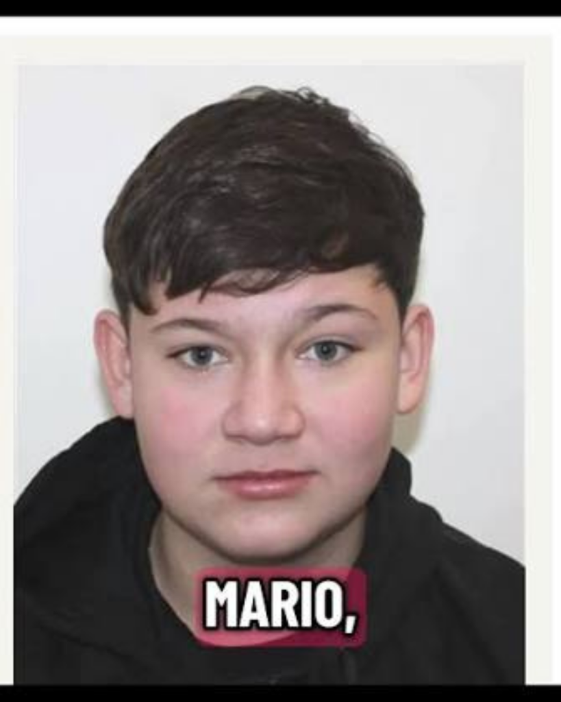 Adolescent condamnat la 15 ani pentru moartea lui Mario Berinde din Cenei