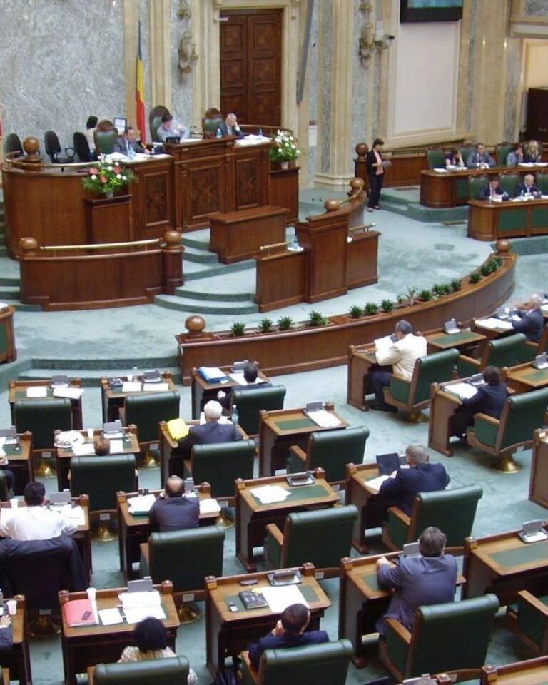 Lucian Rusu, ales șef al Comisiei europene din Senat. Ce promite