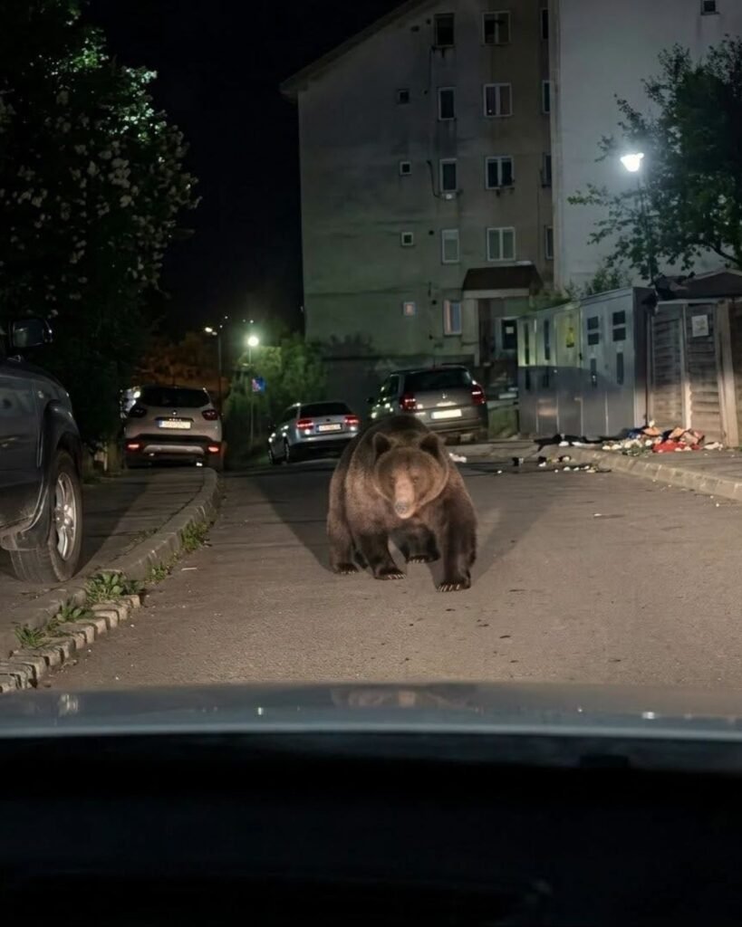 Alerta de ultimă oră într-un oraș din România! „Rămâneți în locuințe!”